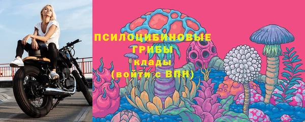 мяу мяу мука Покачи