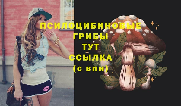 дживик Покровск