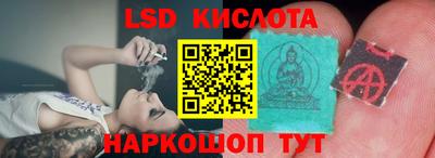 СК Камышлов