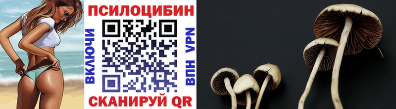 omg как зайти закладки Сланцы Псилоцибиновые грибы MAGIC MUSHROOMS
