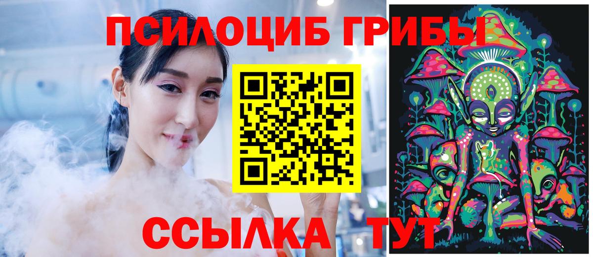Псилоцибиновые грибы Psilocybine cubensis Сланцы